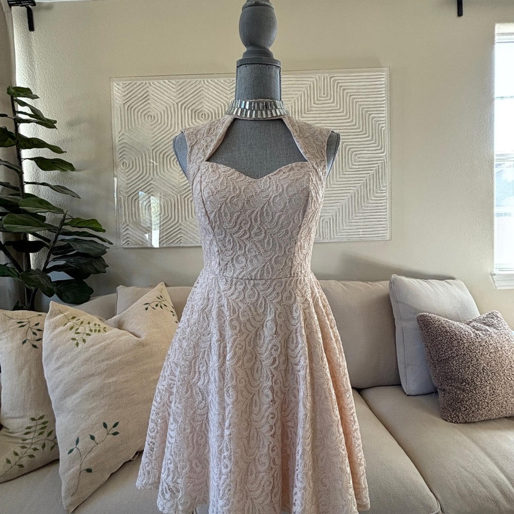 Pink Princess Style Lace Dress!